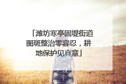 潍坊寒亭固堤街道图斑整治零容忍，耕地保护见真章