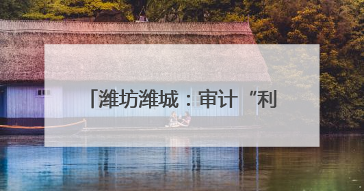 潍坊潍城：审计“利剑”护航高质量发展