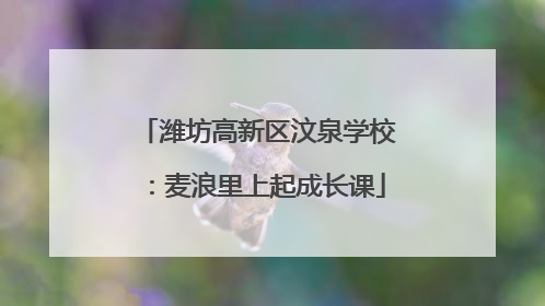 潍坊高新区汶泉学校：麦浪里上起成长课