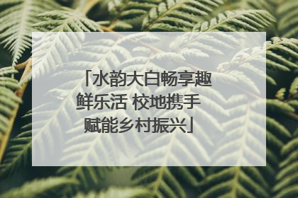 水韵大白畅享趣鲜乐活 校地携手赋能乡村振兴