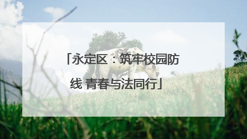 永定区：筑牢校园防线 青春与法同行