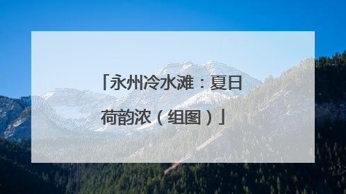永州冷水滩：夏日荷韵浓（组图）
