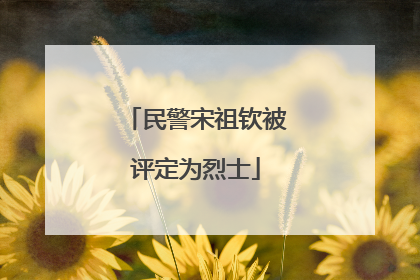 民警宋祖钦被评定为烈士
