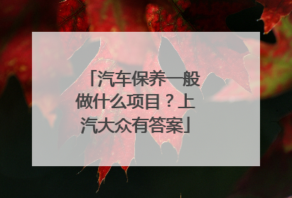 汽车保养一般做什么项目？上汽大众有答案