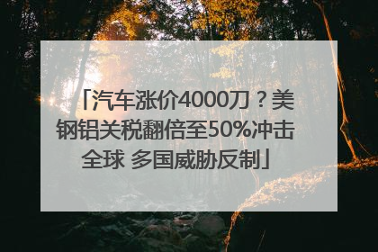 汽车涨价4000刀？美钢铝关税翻倍至50%冲击全球 多国威胁反制