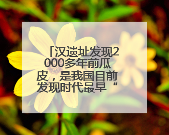 汉遗址发现2000多年前瓜皮，是我国目前发现时代最早“瓜皮”实物→