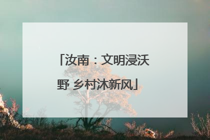 汝南：文明浸沃野 乡村沐新风