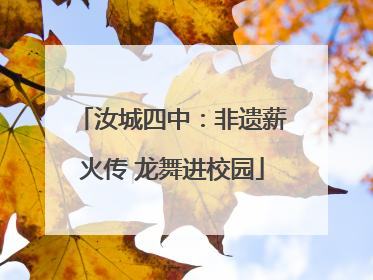 汝城四中：非遗薪火传 龙舞进校园