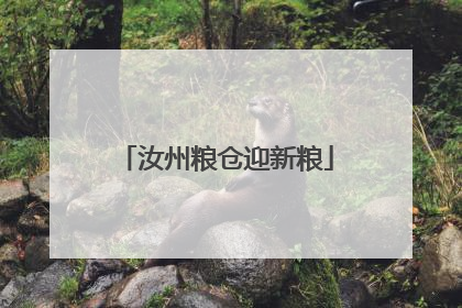 汝州粮仓迎新粮