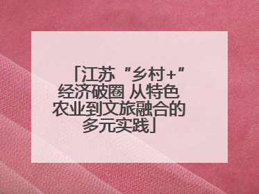 江苏“乡村+”经济破圈 从特色农业到文旅融合的多元实践