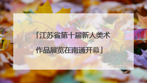 江苏省第十届新人美术作品展览在南通开幕