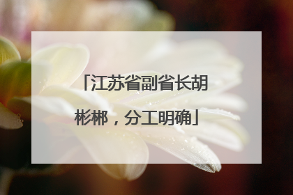 江苏省副省长胡彬郴，分工明确