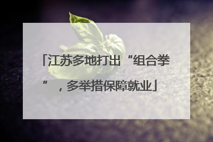 江苏多地打出“组合拳”，多举措保障就业