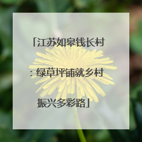 江苏如皋钱长村：绿草坪铺就乡村振兴多彩路