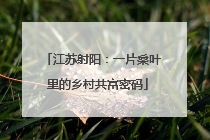 江苏射阳：一片桑叶里的乡村共富密码