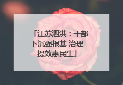 江苏泗洪：干部下沉强根基 治理提效惠民生
