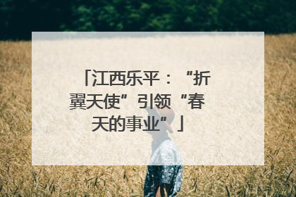 江西乐平：“折翼天使”引领“春天的事业”