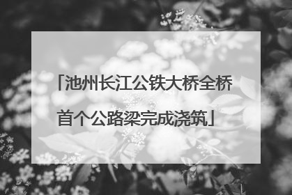 池州长江公铁大桥全桥首个公路梁完成浇筑
