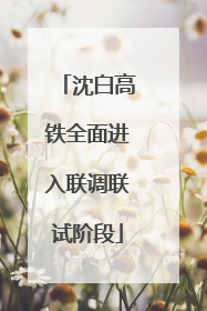 沈白高铁全面进入联调联试阶段