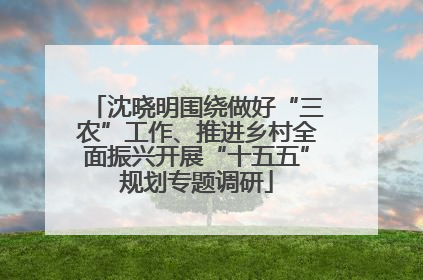 沈晓明围绕做好“三农”工作、推进乡村全面振兴开展“十五五”规划专题调研