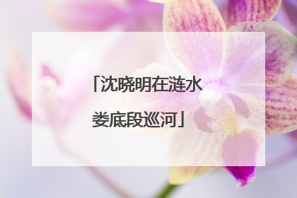 沈晓明在涟水娄底段巡河