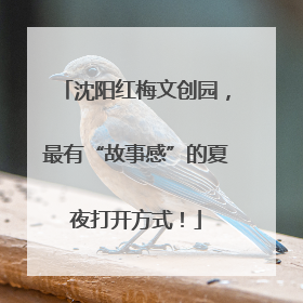 沈阳红梅文创园，最有“故事感”的夏夜打开方式！