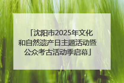 沈阳市2025年文化和自然遗产日主题活动暨公众考古活动季启幕