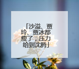 沙溢、贾玲、贾冰都瘦了，压力给到沈腾