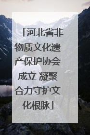河北省非物质文化遗产保护协会成立 凝聚合力守护文化根脉