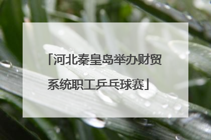 河北秦皇岛举办财贸系统职工乒乓球赛