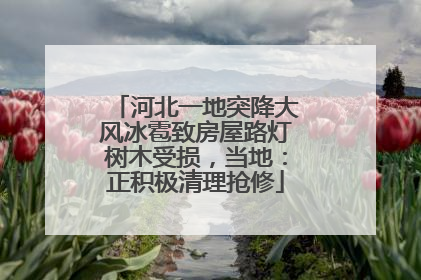 河北一地突降大风冰雹致房屋路灯树木受损，当地：正积极清理抢修