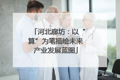 河北廊坊：以“算”为笔描绘未来产业发展蓝图