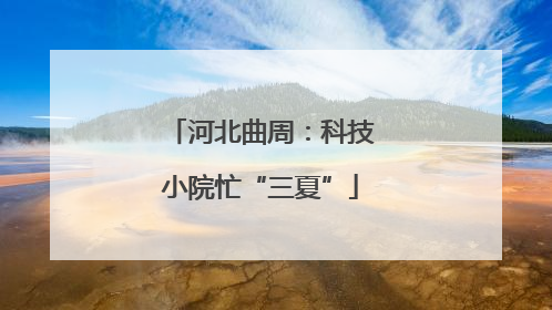 河北曲周：科技小院忙“三夏”
