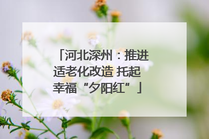 河北深州：推进适老化改造 托起幸福“夕阳红”