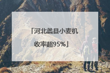 河北蠡县小麦机收率超95%