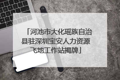 河池市大化瑶族自治县驻深圳宝安人力资源飞地工作站揭牌