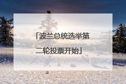 波兰总统选举第二轮投票开始
