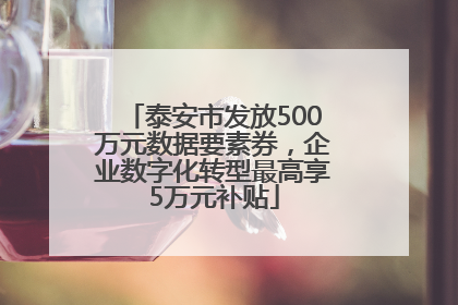 泰安市发放500万元数据要素券，企业数字化转型最高享5万元补贴