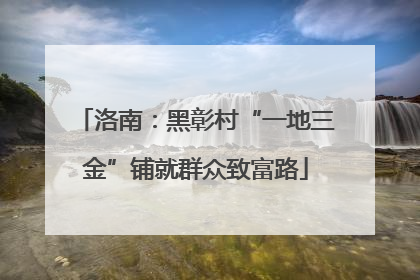 洛南：黑彰村“一地三金”铺就群众致富路