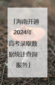 海南开通2024年高考录取数据统计查询服务
