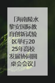 海南陵水黎安国际教育创新试验区举行2025年高校发展协同圆桌会会议