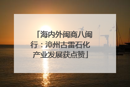海内外闽商八闽行：漳州古雷石化产业发展获点赞
