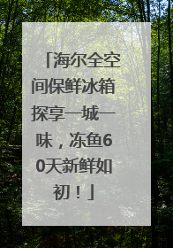 海尔全空间保鲜冰箱探享一城一味，冻鱼60天新鲜如初！