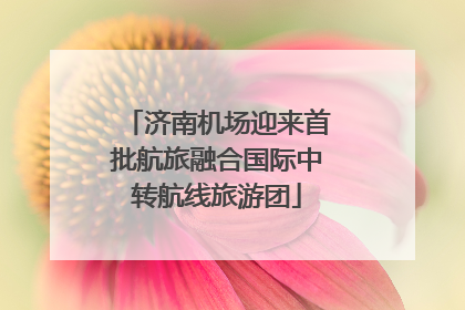济南机场迎来首批航旅融合国际中转航线旅游团