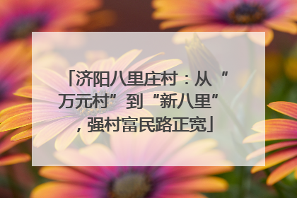 济阳八里庄村：从“万元村”到“新八里”，强村富民路正宽
