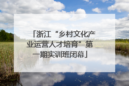 浙江“乡村文化产业运营人才培育”第一期实训班闭幕