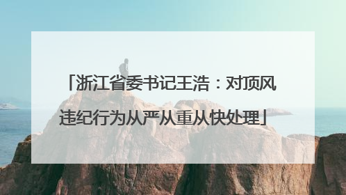 浙江省委书记王浩：对顶风违纪行为从严从重从快处理