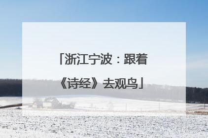 浙江宁波：跟着《诗经》去观鸟