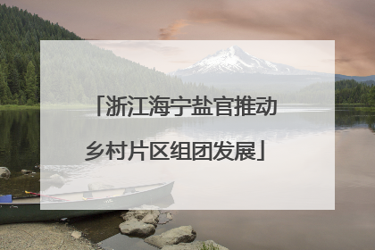 浙江海宁盐官推动乡村片区组团发展