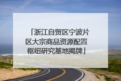 浙江自贸区宁波片区大宗商品资源配置枢纽研究基地揭牌